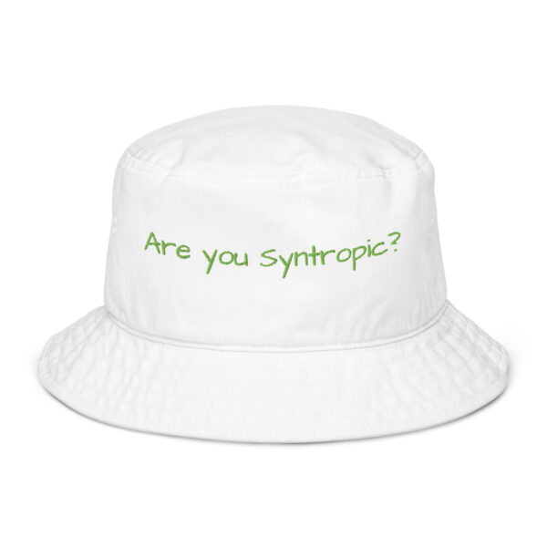 Syntropic Question Organic bucket hat - Image 4