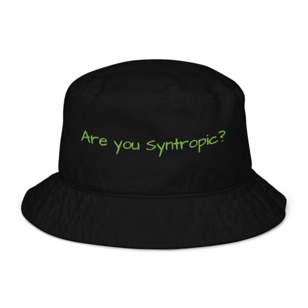 Syntropic Question Organic bucket hat - Image 2