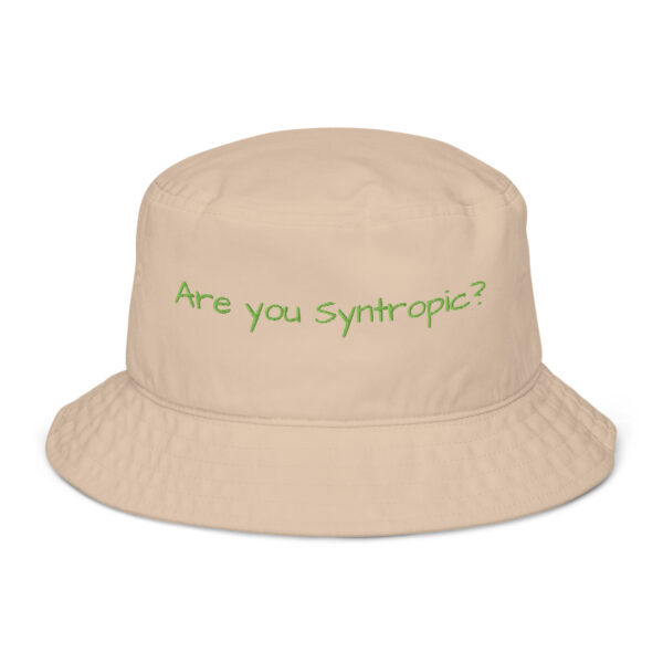 Syntropic Question Organic bucket hat - Image 3